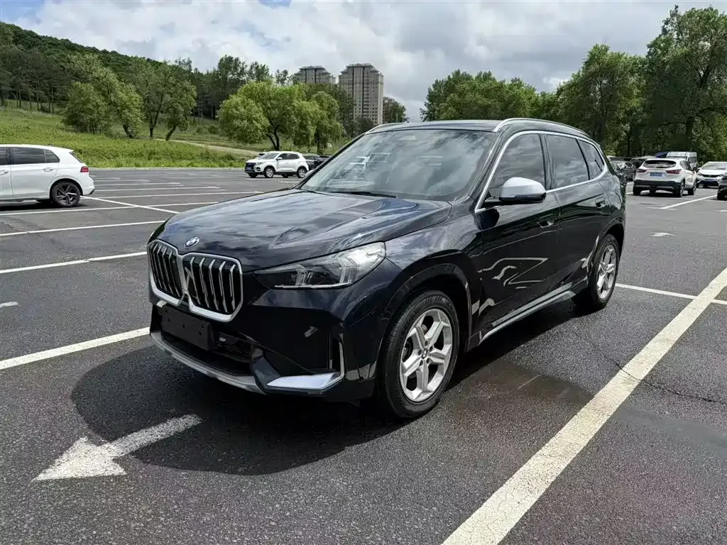 BMW X1 — фото 1