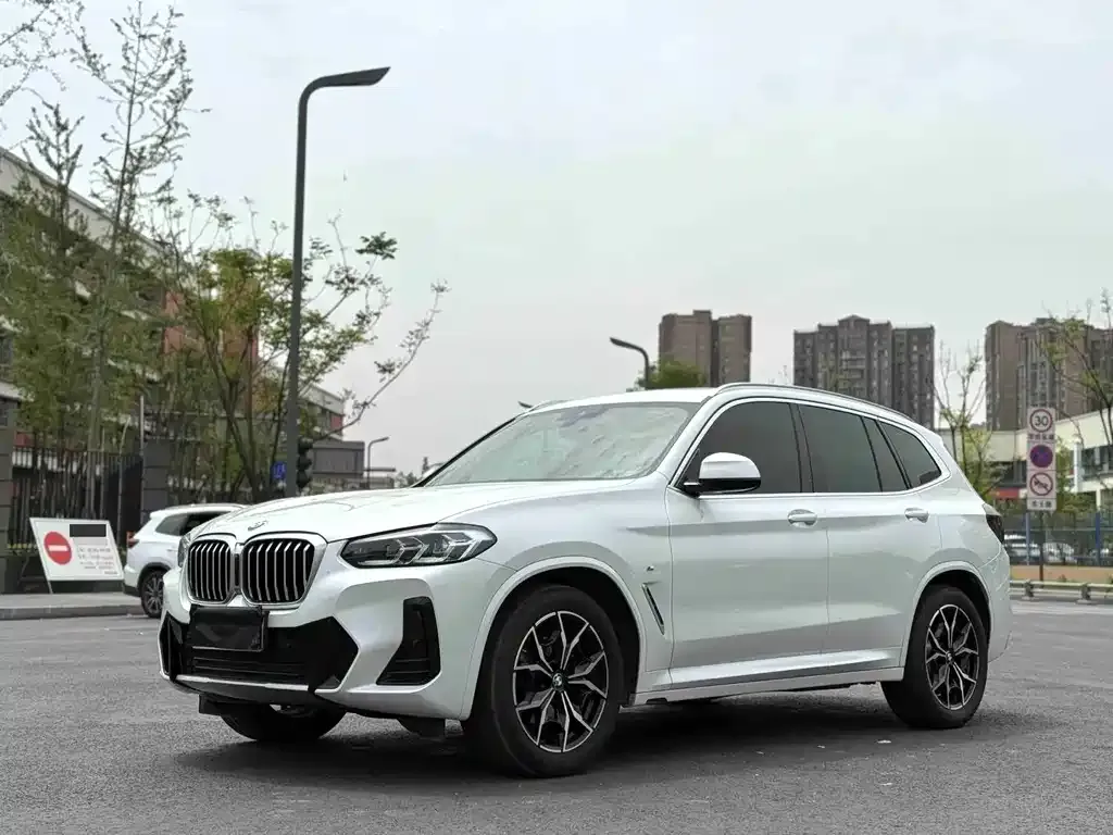 BMW X3 — фото 1