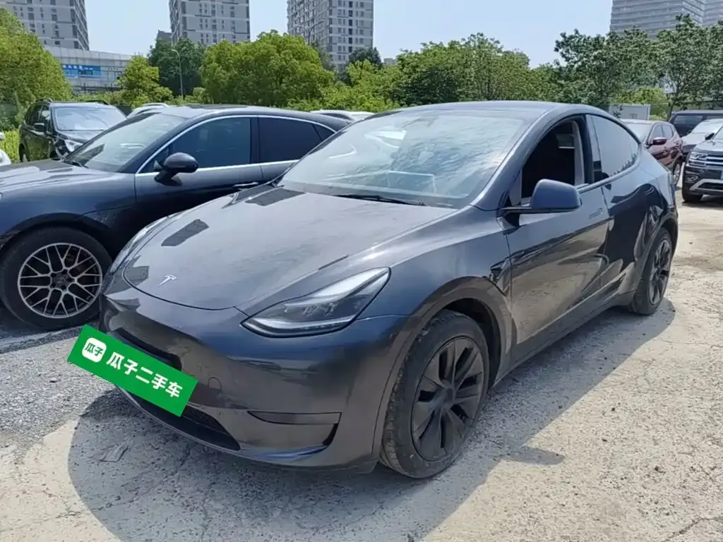 Tesla Model Y — фото 1