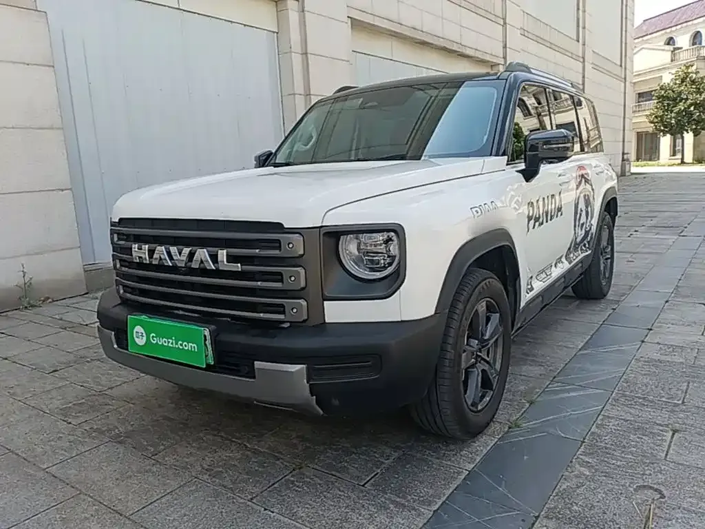 Haval Menglong New Energy — фото 1