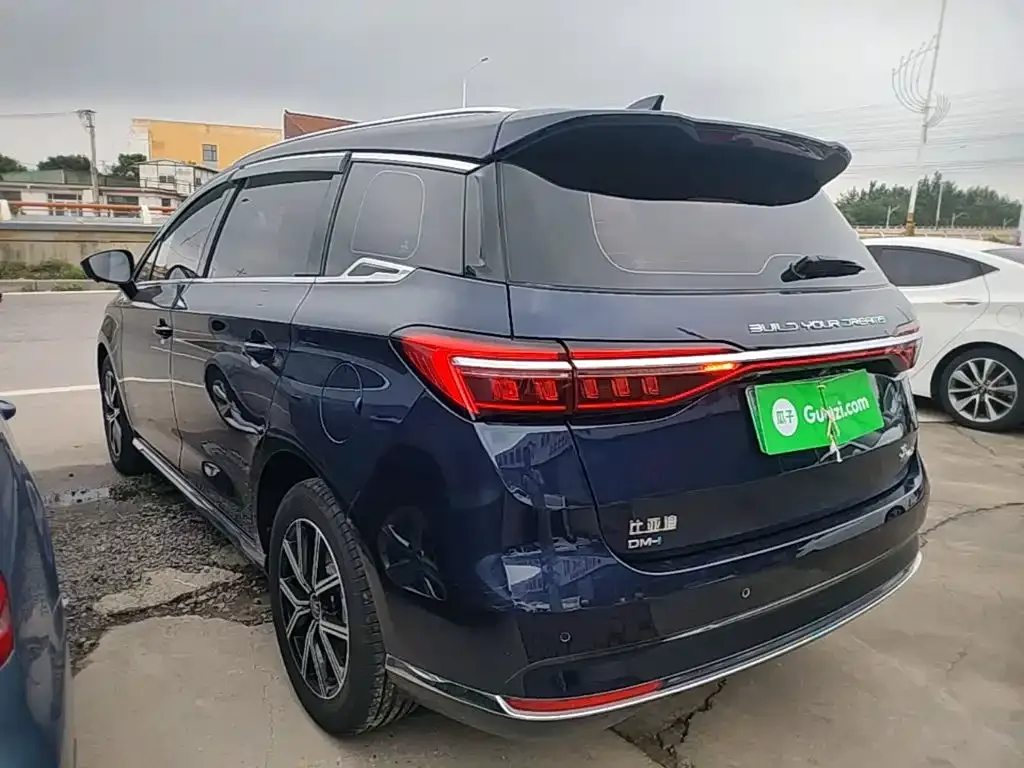 BYD MAX New Energy 2023 из CN, фото 7