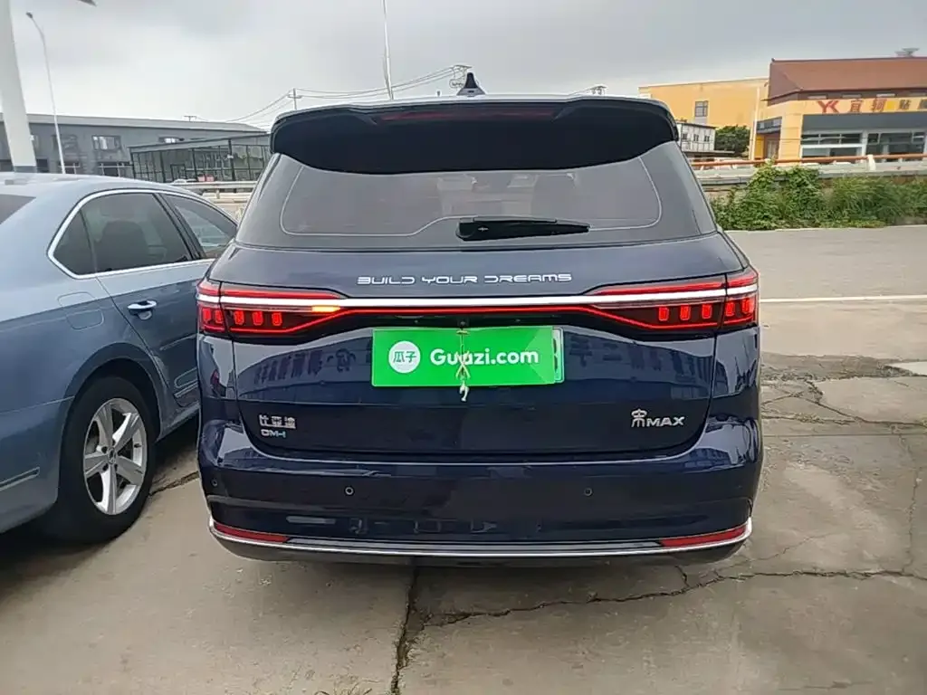 BYD MAX New Energy 2023 из CN, фото 9