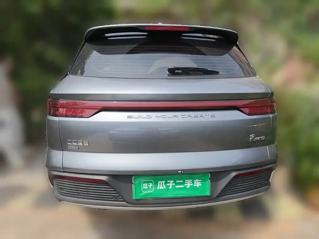BYD Pro New Energy — фото 2