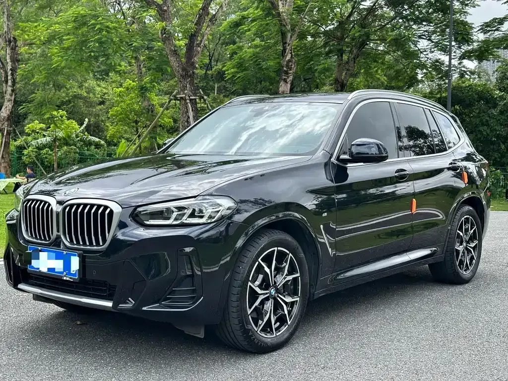 BMW X3 — фото 1