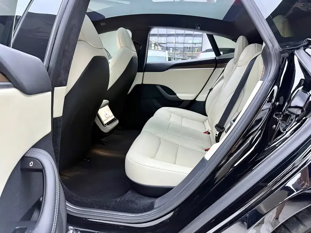 Tesla Model X — фото 10