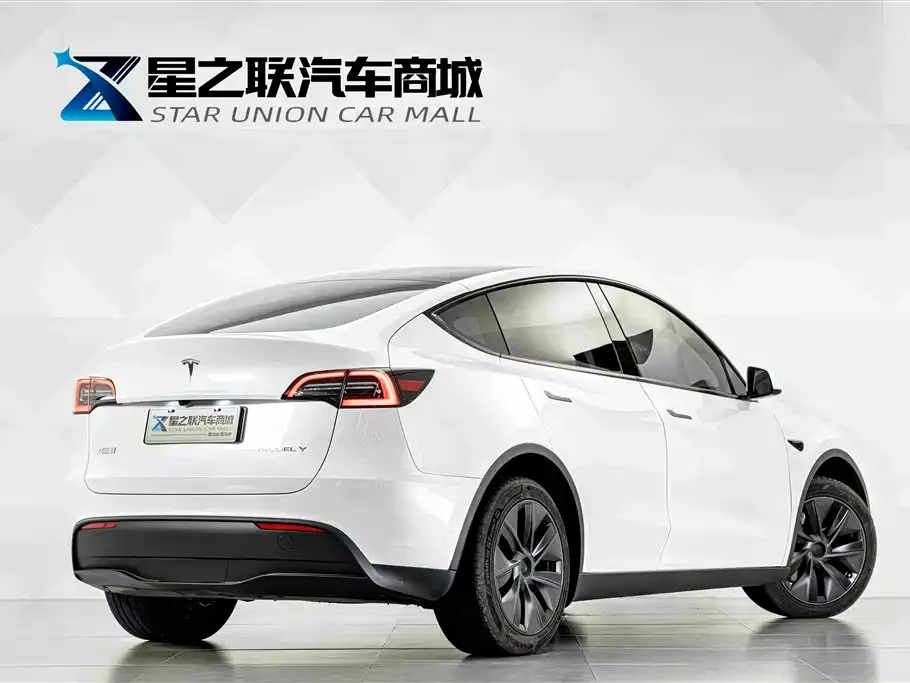 Tesla Model Y — фото 3