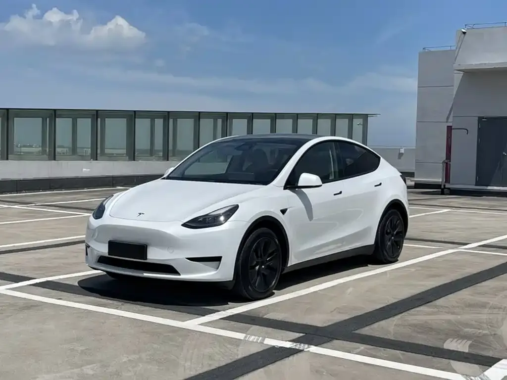 Tesla Model Y — фото 8