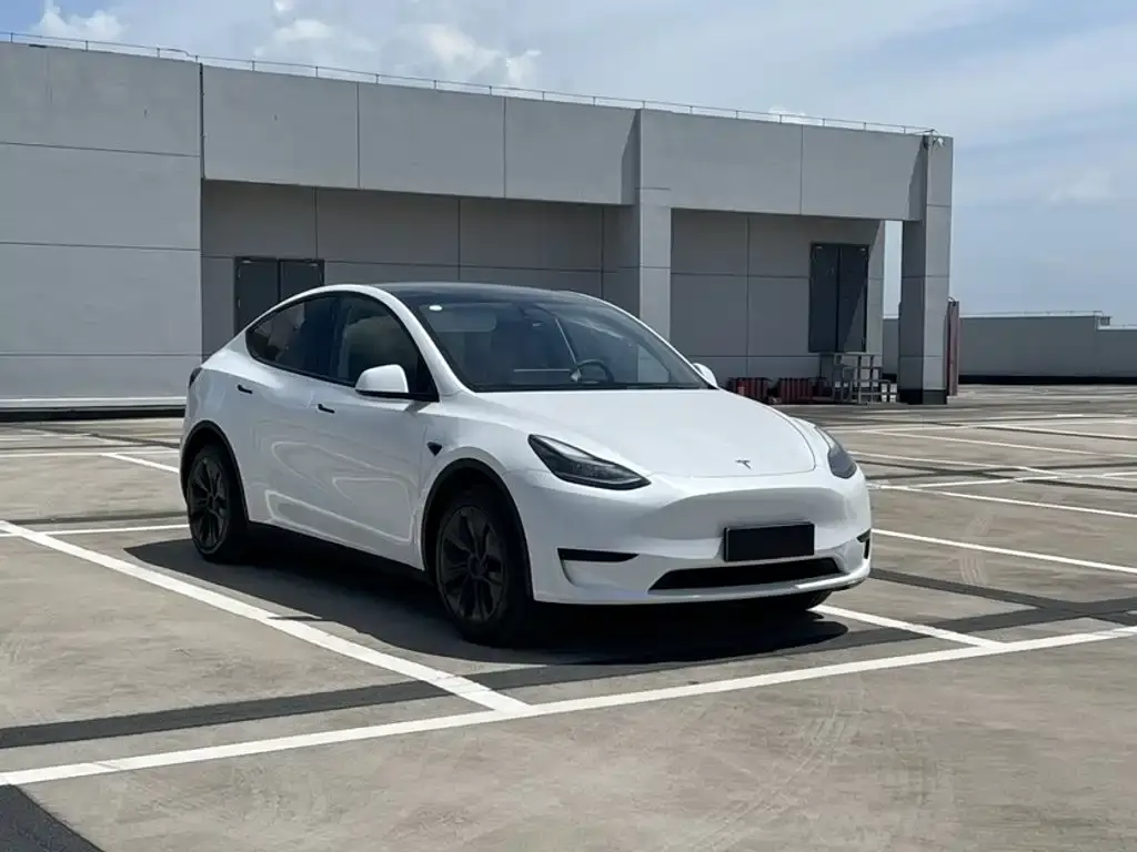 Tesla Model Y — фото 10
