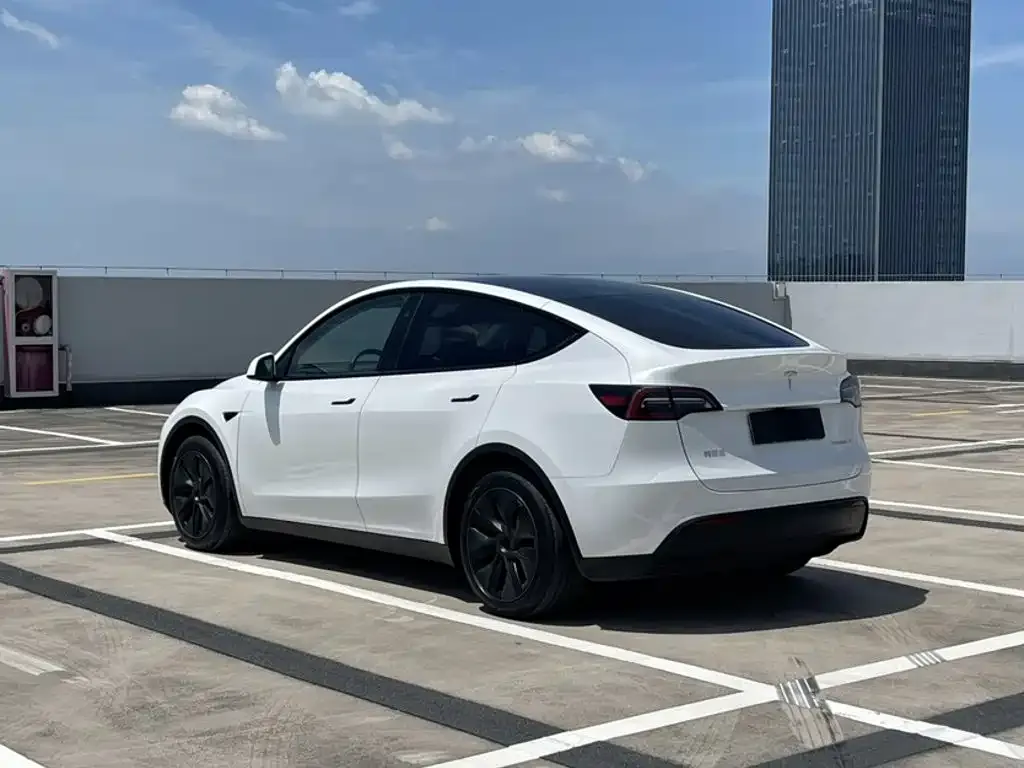 Tesla Model Y — фото 7