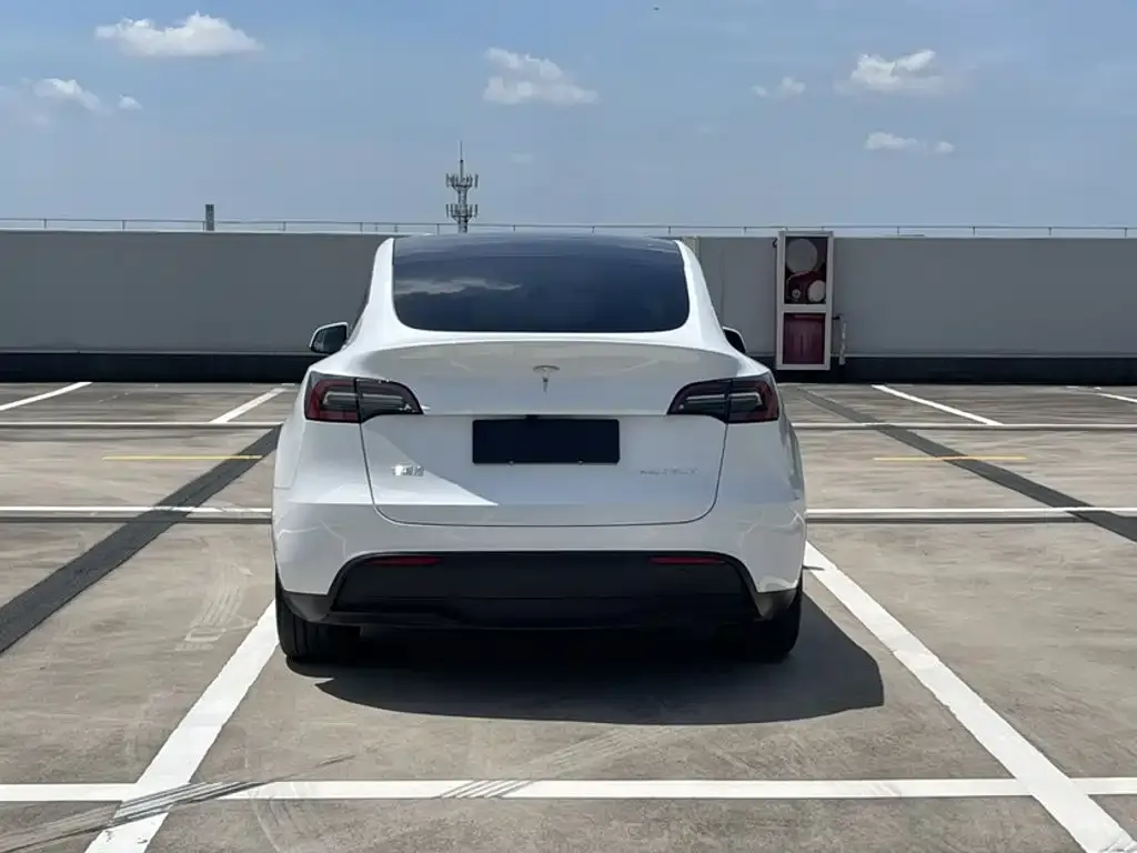 Tesla Model Y — фото 6
