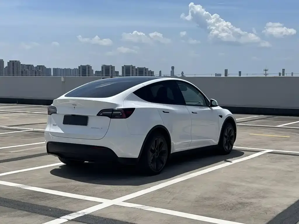 Tesla Model Y — фото 2