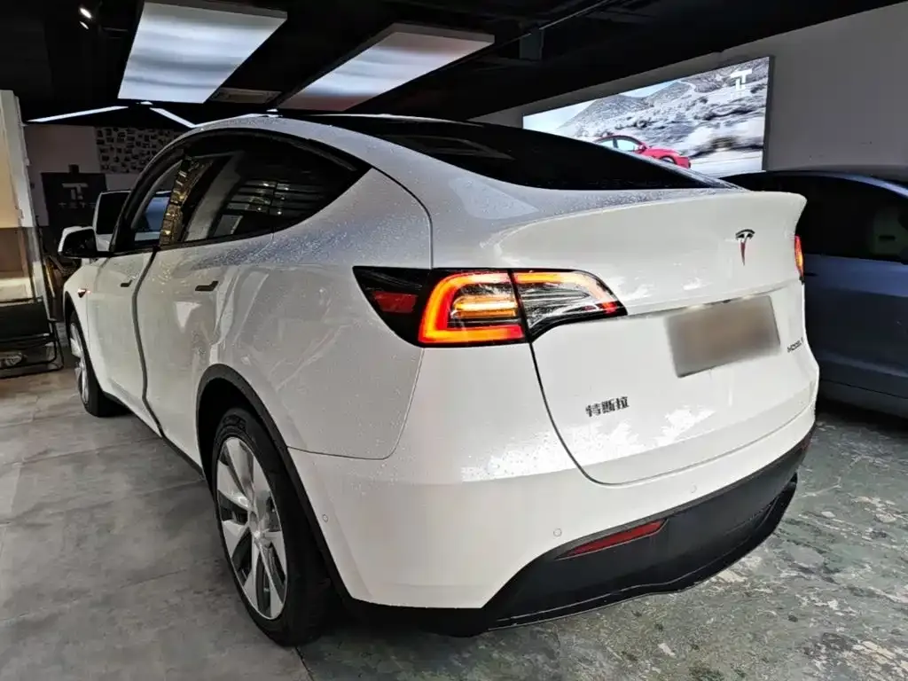 Tesla Model Y — фото 9