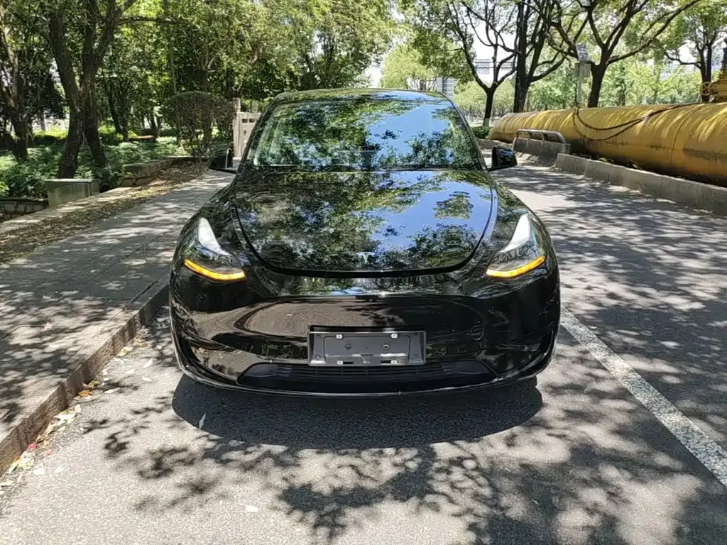 Tesla Model Y — фото 8