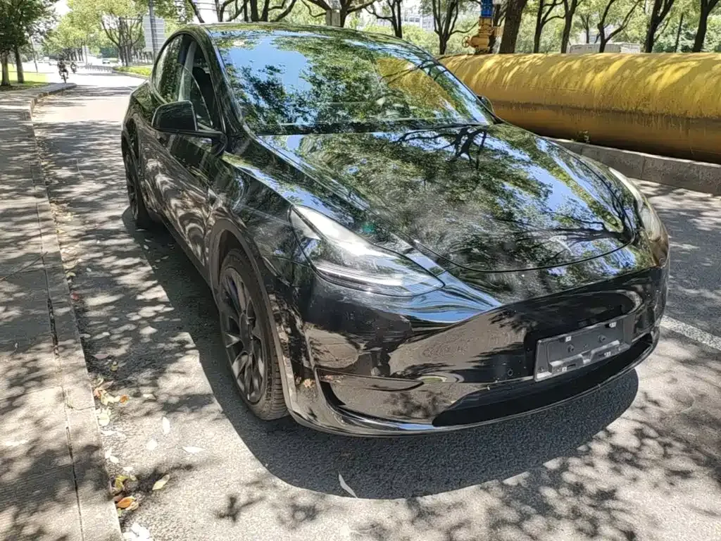 Tesla Model Y — фото 10