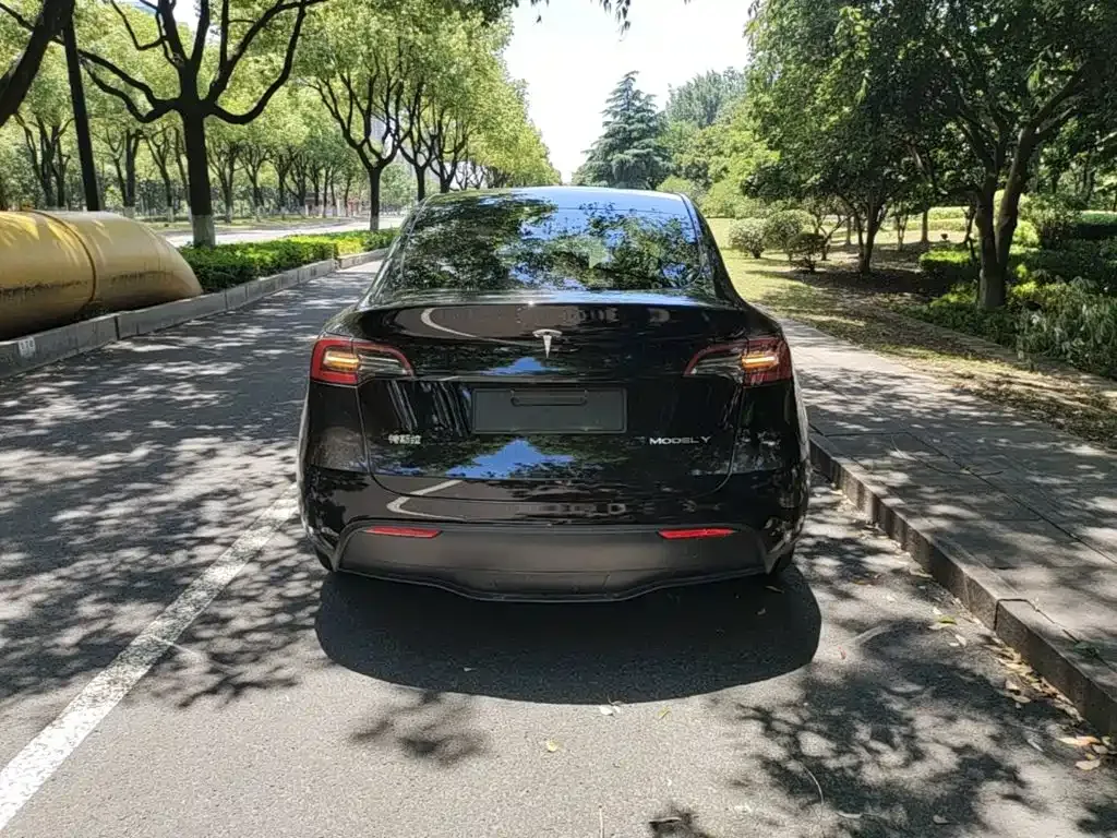 Tesla Model Y — фото 9