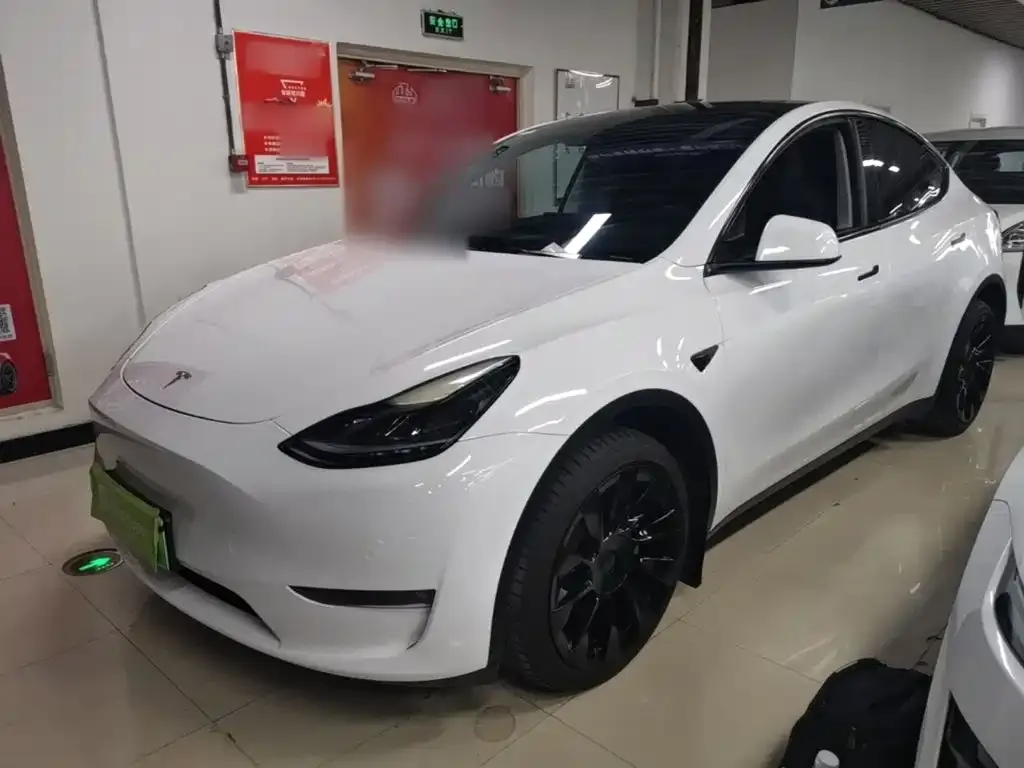 Tesla Model Y — фото 5