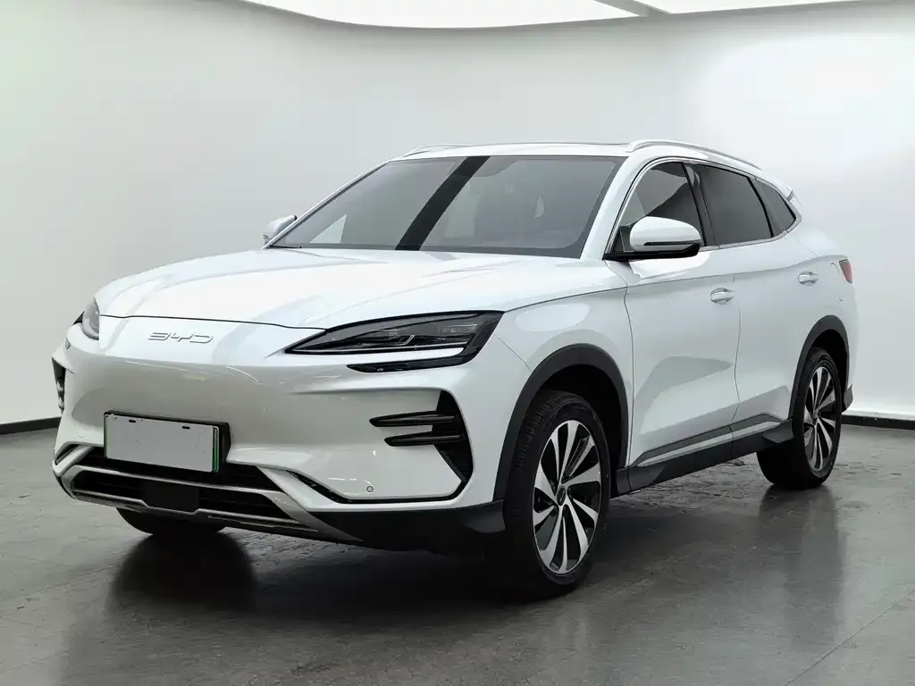 BYD PLUS New Energy — фото 1