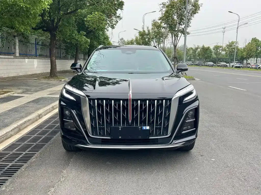 Hongqi HS3 2024 из CN, фото 9