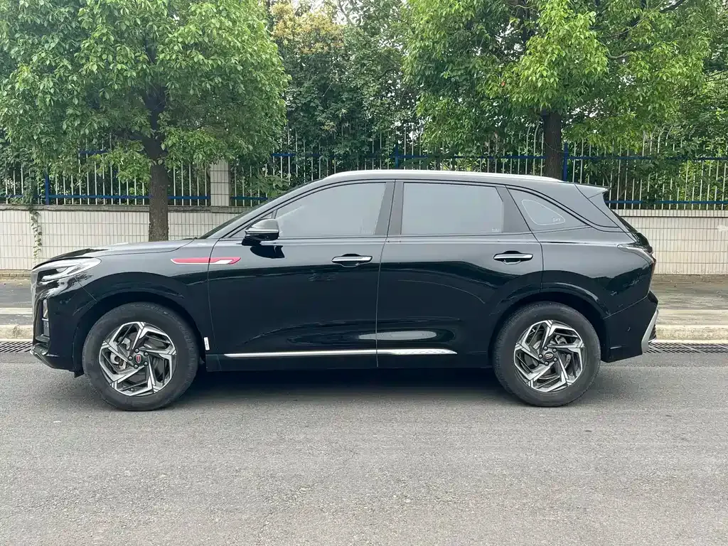 Hongqi HS3 2024 из CN, фото 10