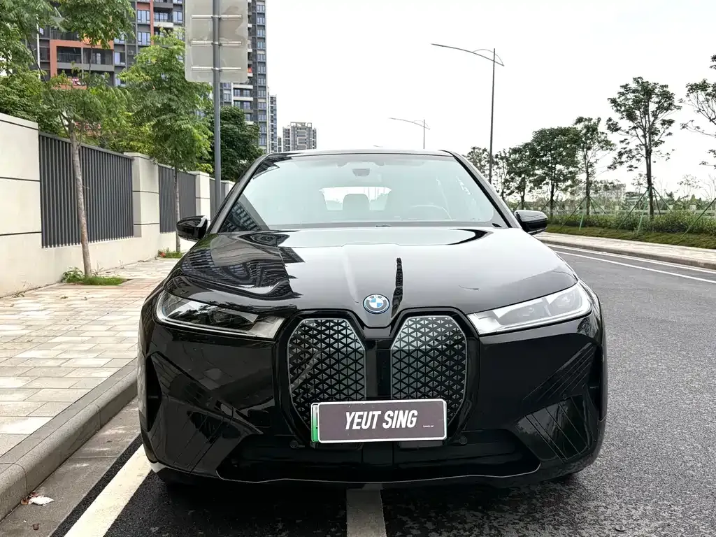 BMW iX — фото 10
