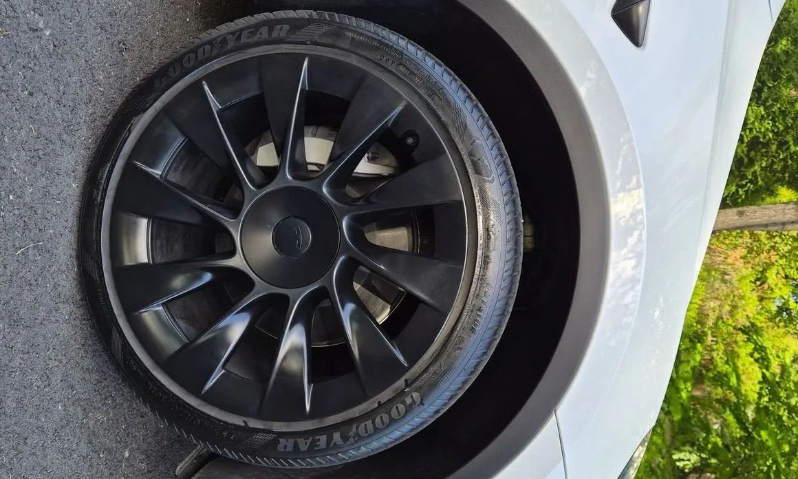 Tesla Model Y — фото 3