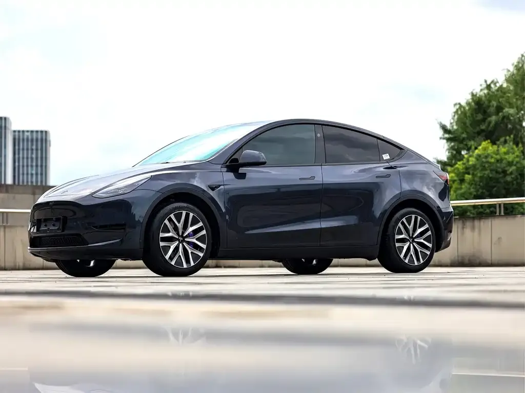 Tesla Model Y — фото 1