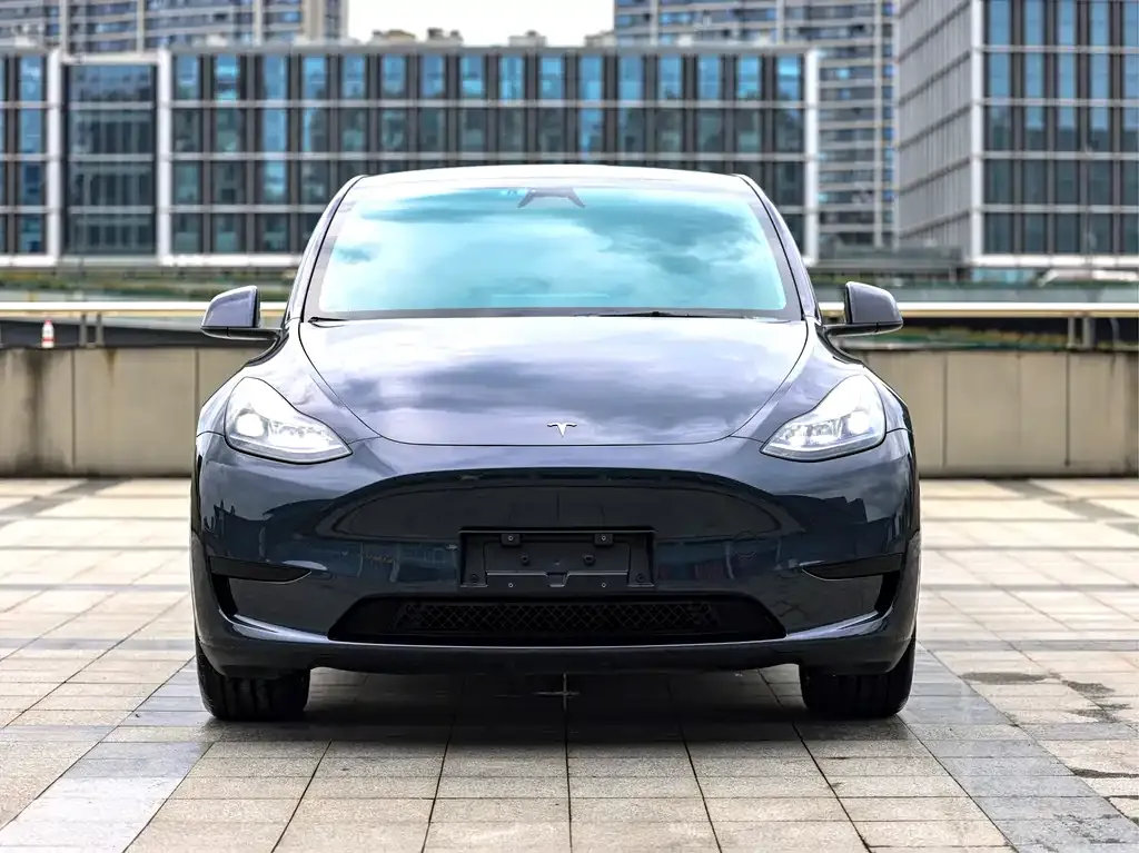 Tesla Model Y — фото 8