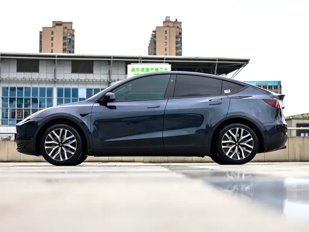 Tesla Model Y — фото 5
