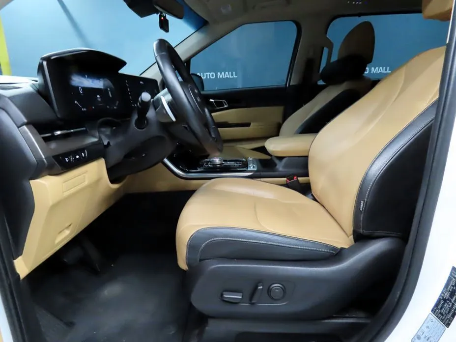 Kia Carnival — фото 10