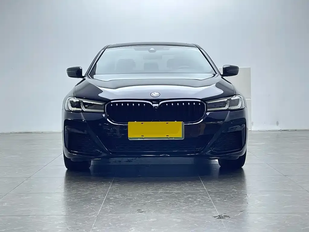 BMW 5 Series New Energy — фото 4