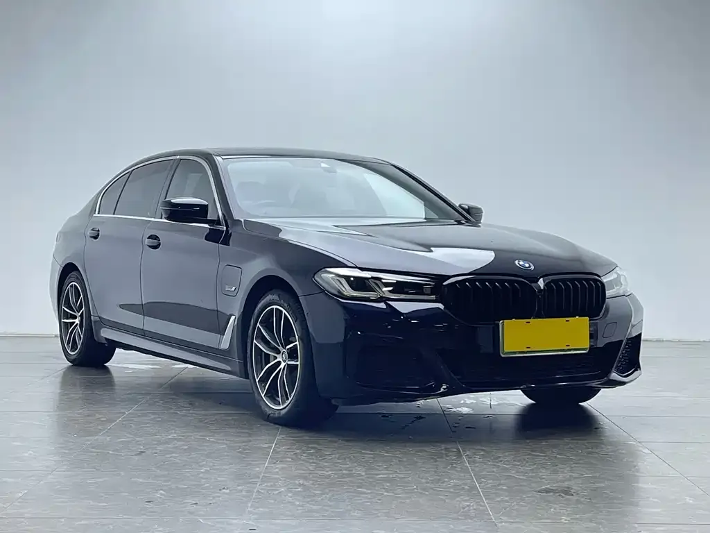 BMW 5 Series New Energy — фото 3