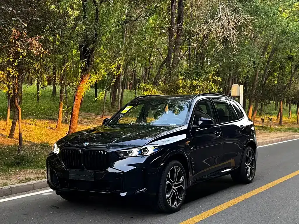 BMW X5 — фото 9
