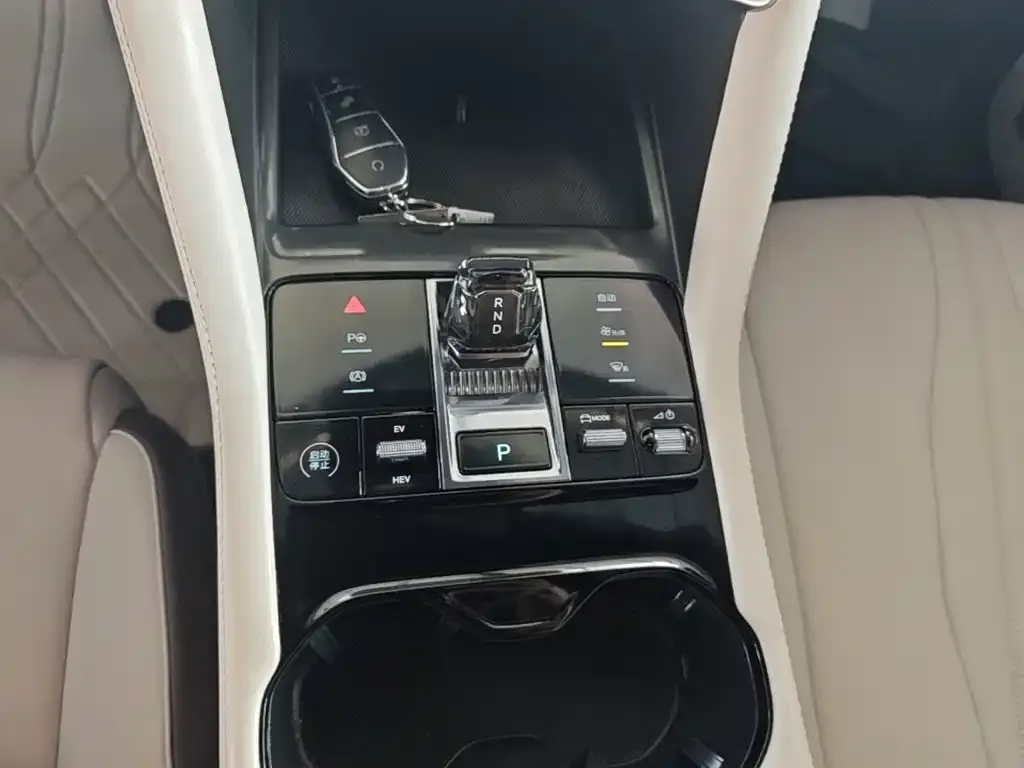 BYD PLUS New Energy — фото 4