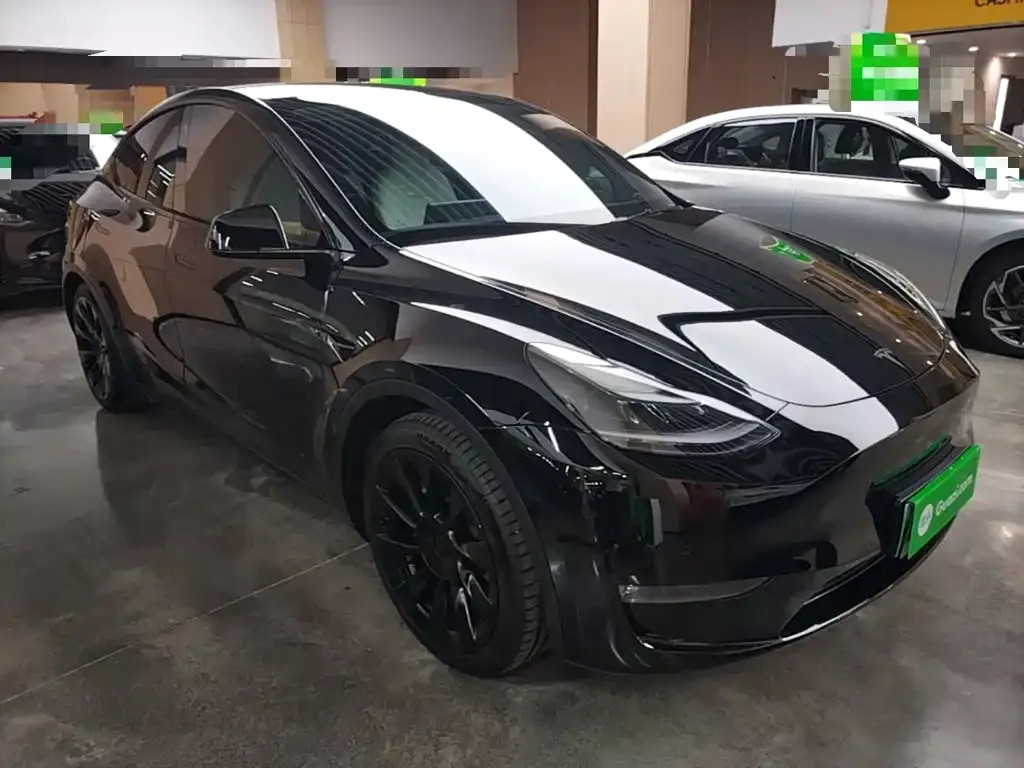 Tesla Model Y — фото 10