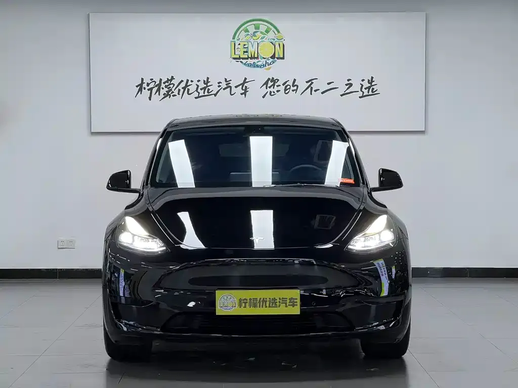 Tesla Model Y — фото 2