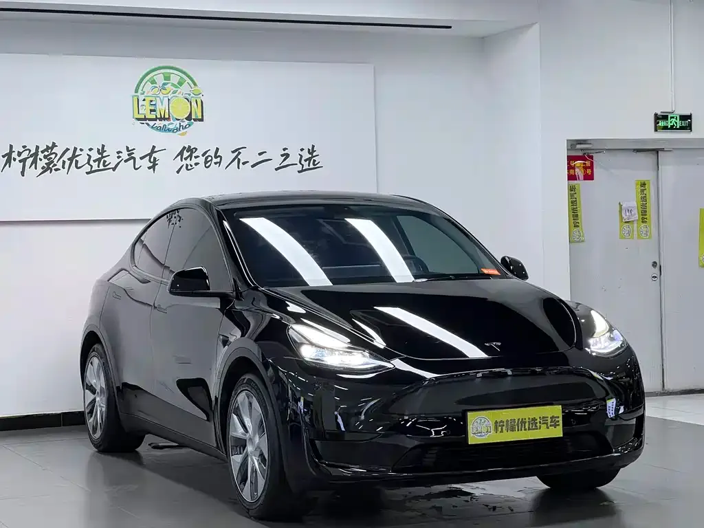 Tesla Model Y — фото 8