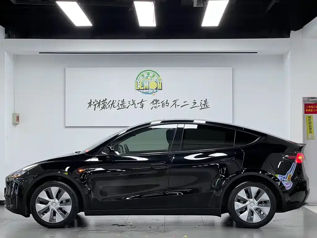 Tesla Model Y — фото 10
