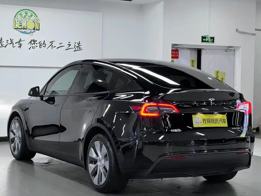 Tesla Model Y — фото 9