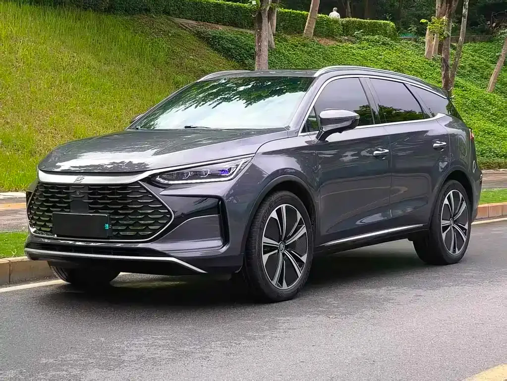 BYD Tang New Energy — фото 1