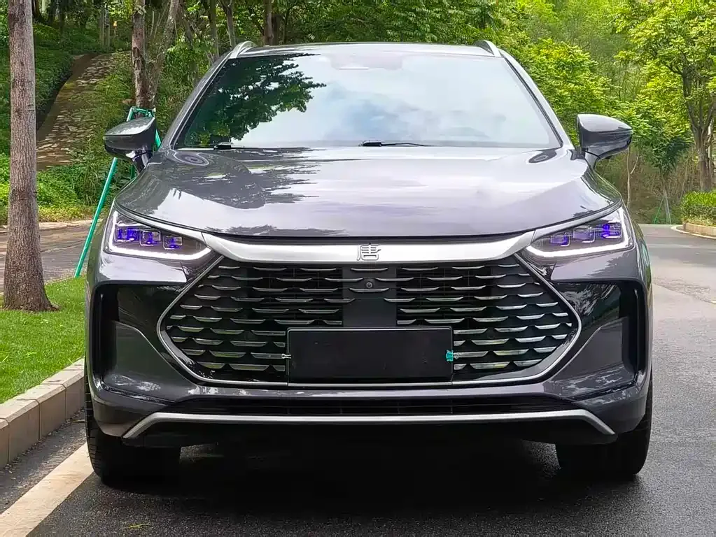 BYD Tang New Energy — фото 10