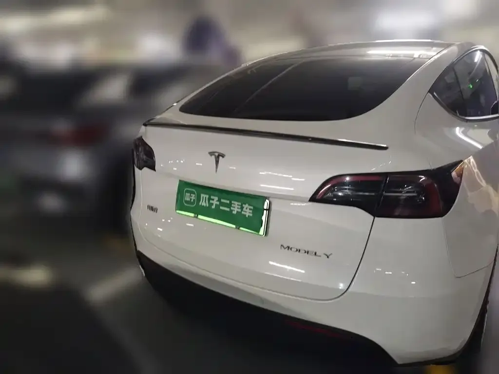 Tesla Model Y — фото 10
