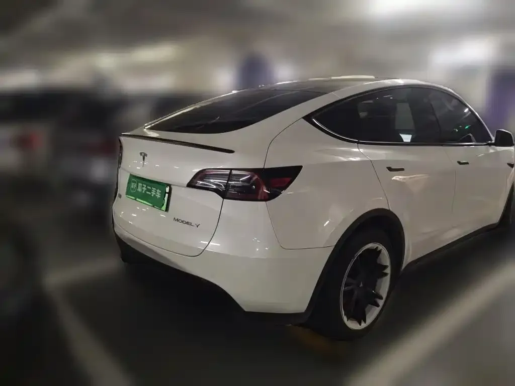 Tesla Model Y — фото 3
