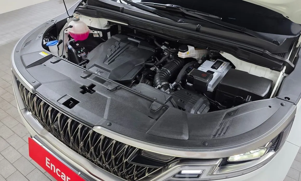 Kia Carnival — фото 10