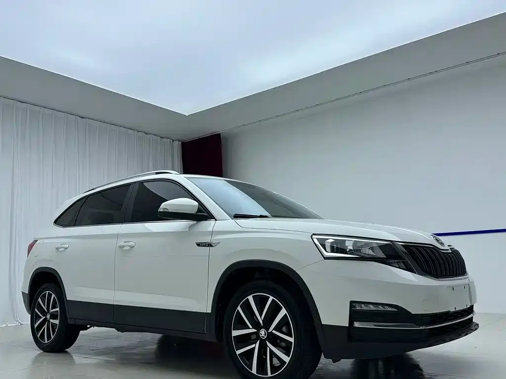 Skoda Kamiq — фото 6