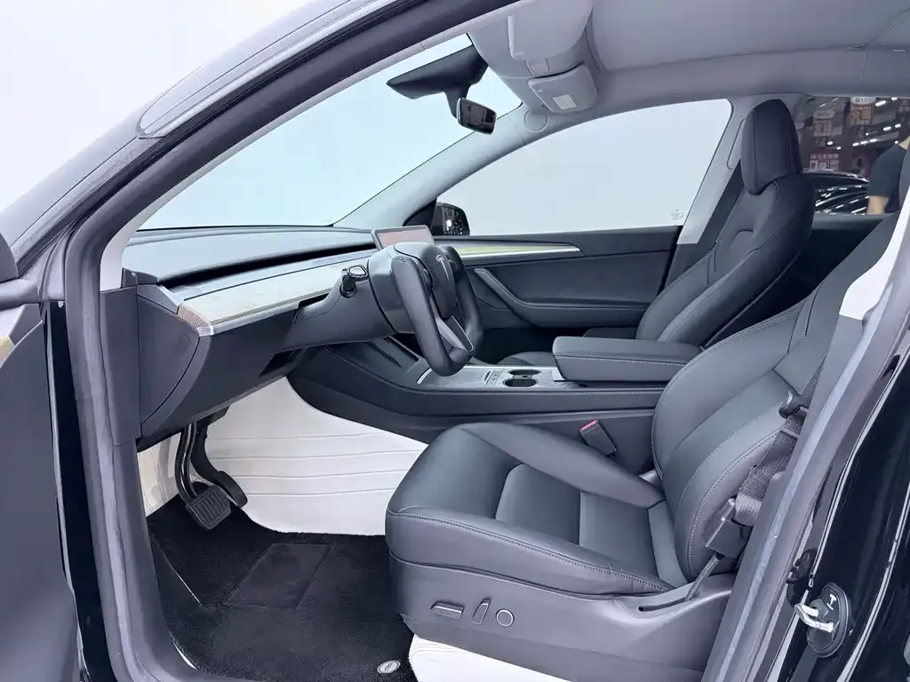 Tesla Model Y — фото 8