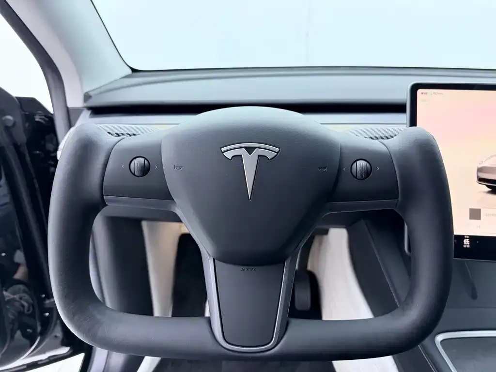 Tesla Model Y — фото 5