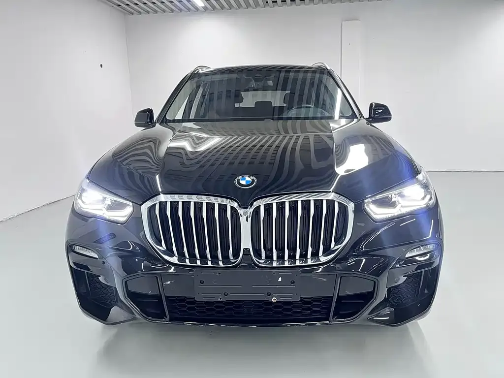 BMW X5 (Import) 2021 из CN, фото 7