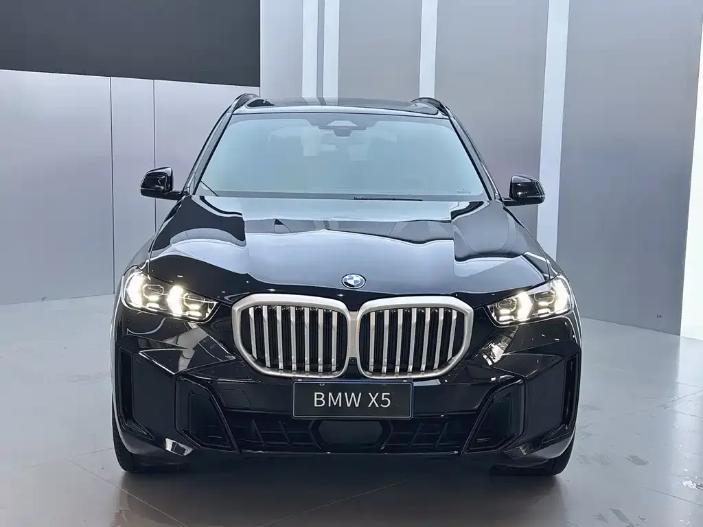 BMW X5 — фото 2