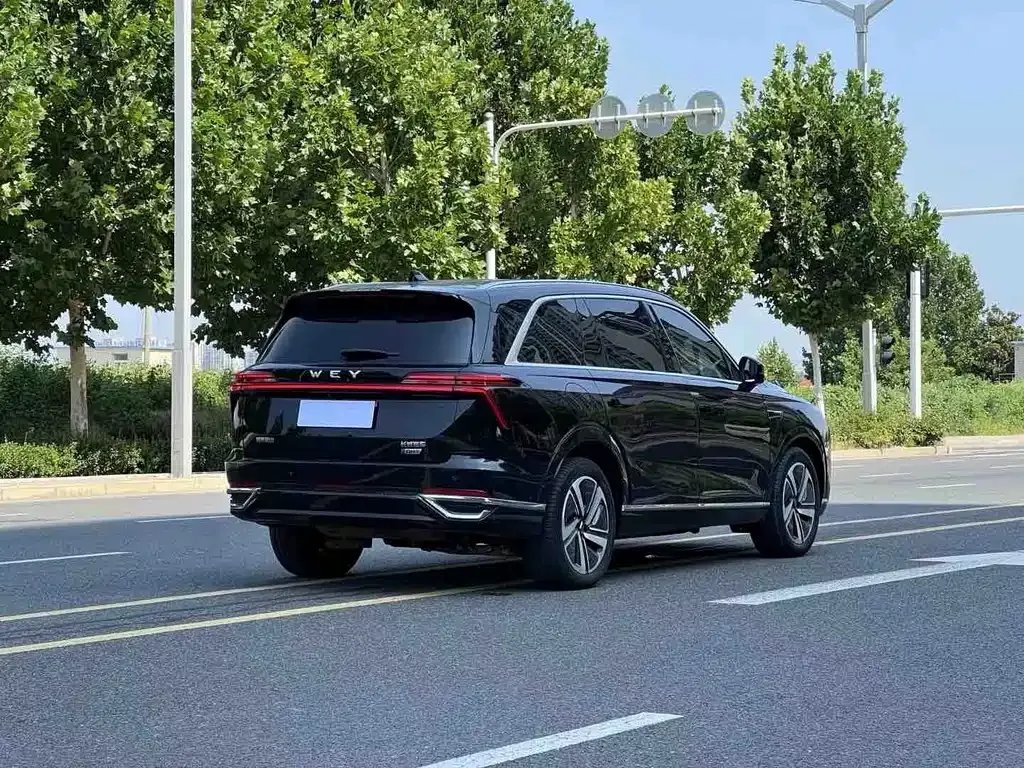 Wey Lanshan — фото 8