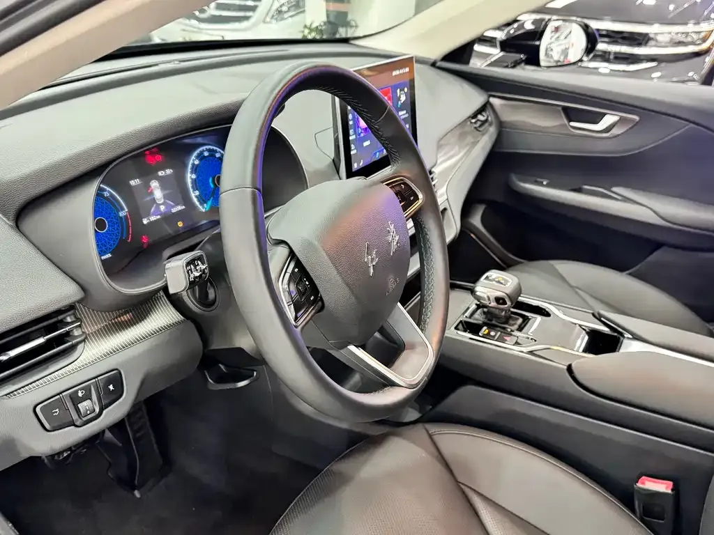 Hongqi E-QM5 — фото 10